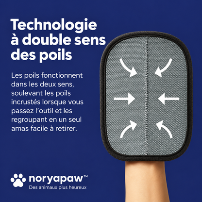 Le Gant Anti-Poils Noryapaw